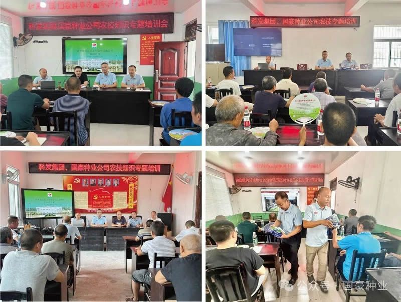 技术下乡传薪火 种子赋能助振兴丨国豪种业“农技知识专题培训”送技术到家.jpg